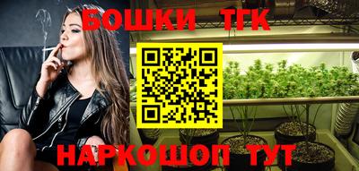 гашик Сланцы