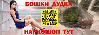 гашик Сланцы